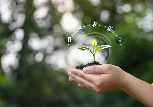 Trees growing on soil in human hands and plant growth factors icons and trees Earth Day concept, elements of this image furnished by NASA.